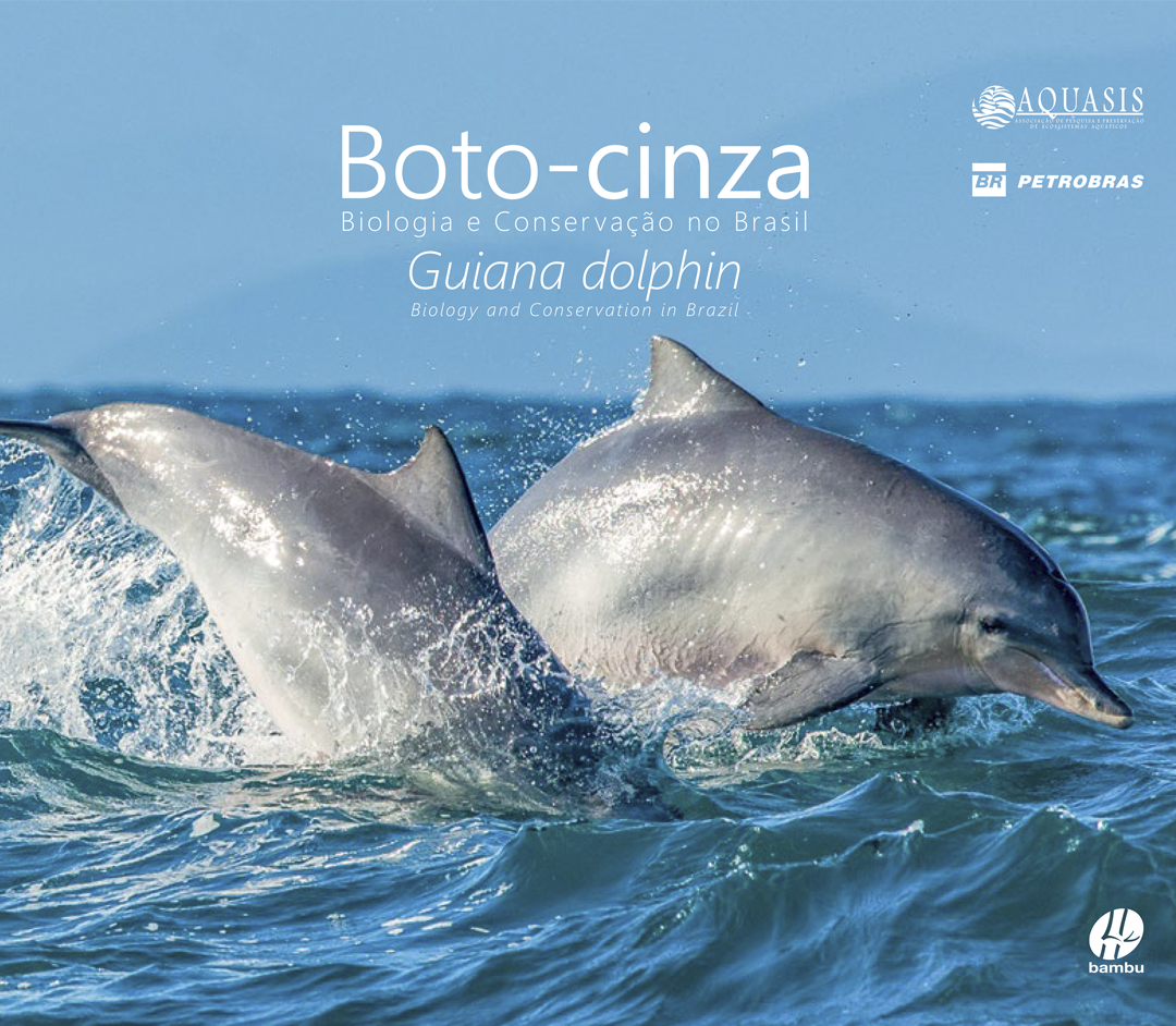 Boto-cinza