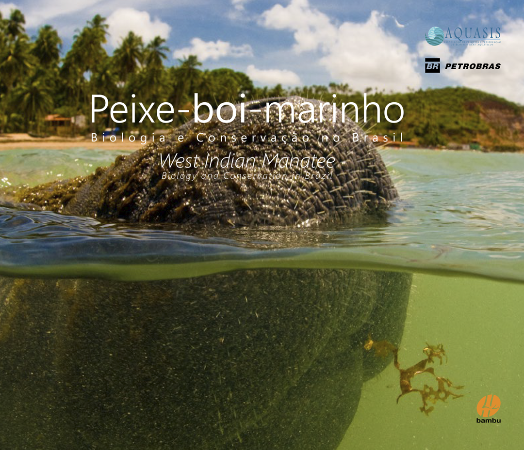 Peixe-boi-marinho