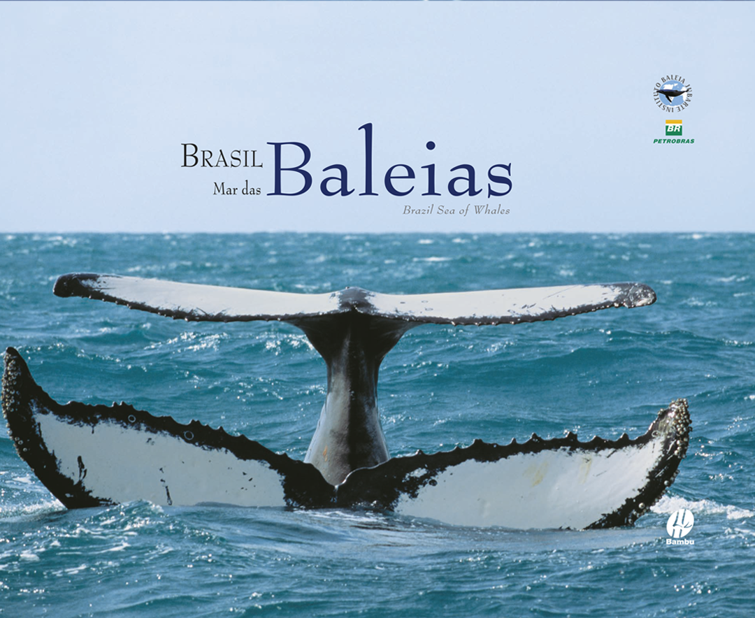 Brasil Mar das Baleias