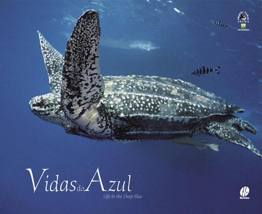 Vidas do Azul